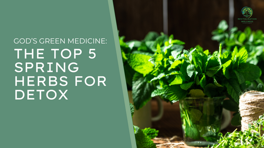 God’s Green Medicine: The Top 5 Spring Herbs for Detox