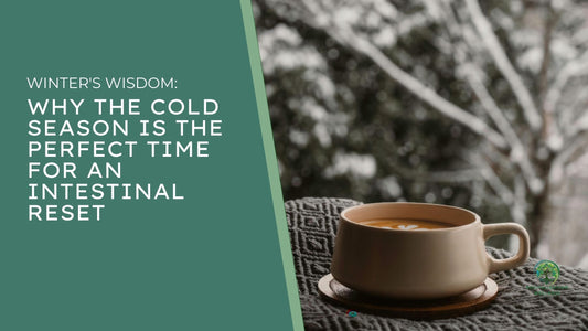 Winter's Wisdom: Why the Cold Season is the Perfect Time for an Intestinal Reset