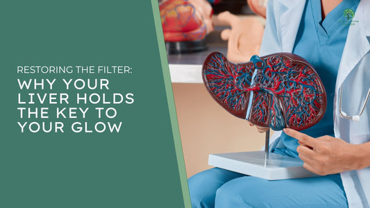 Restoring the Filter: Why Your Liver Holds the Key to Your Glow