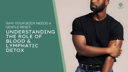 Why Your Body Needs a Gentle Reset: Understanding the Role of Blood & Lymphatic Detox