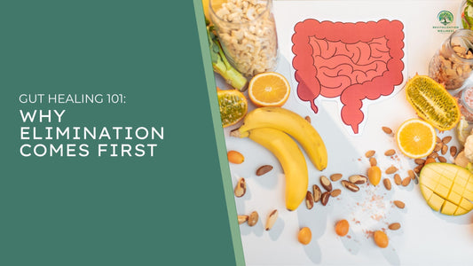 The Gut Is Ground Zero: Why Every Healing Journey Has to Start Here