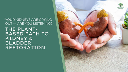 Your Kidneys Are Crying Out — Are You Listening? The Plant-Based Path to Kidney & Bladder Restoration