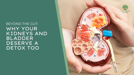 Beyond the Gut: Why Your Kidneys and Bladder Deserve a Detox Too